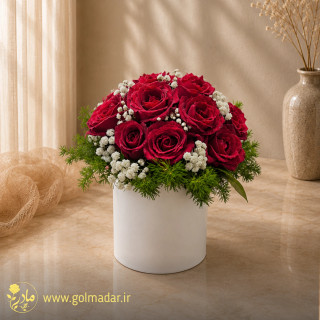 باکس رز هلندی قرمز ۲۰ شاخه با تزیین ژیپسوفیلا و برگ اسپارا